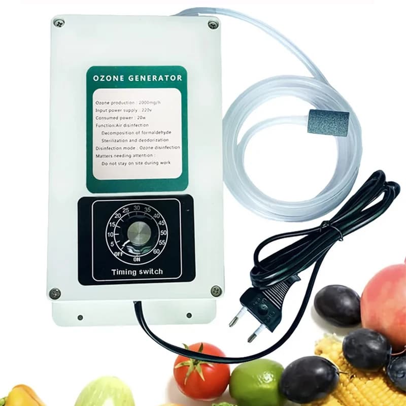 2000mg/h Ozone Generator Machine Home Air Water St